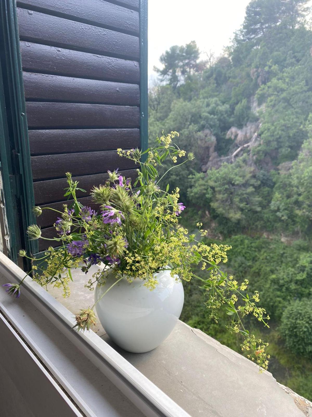 Grand Appartments Sappia Νίκαια Εξωτερικό φωτογραφία
